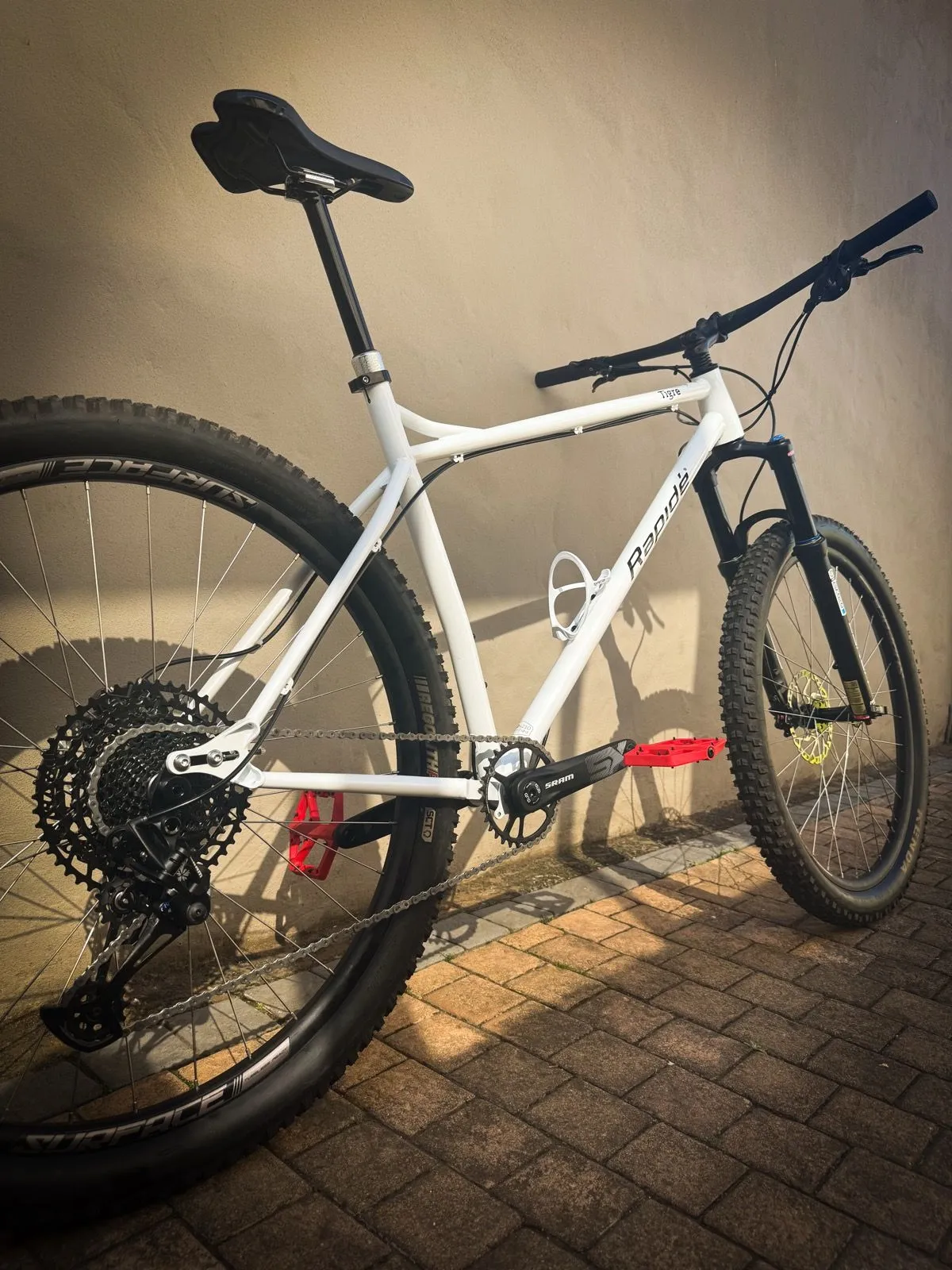 Dylan’s Bike